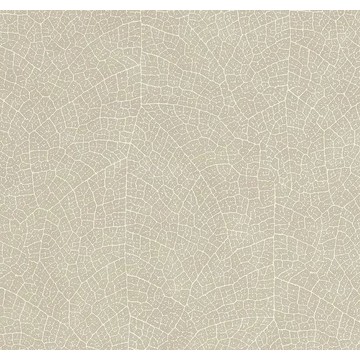 nola 201281303