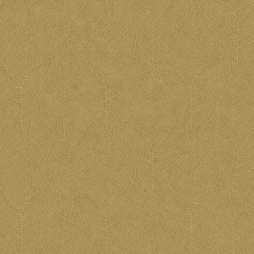 Nola VEGE 20128 25 25