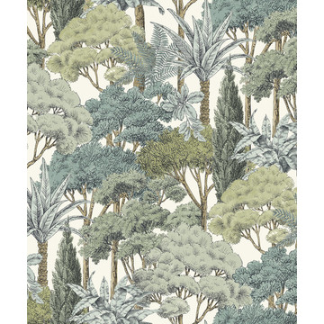 Cedar Woods A76302
