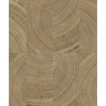 lignum a69102