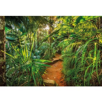 Jungle Trail 8-989