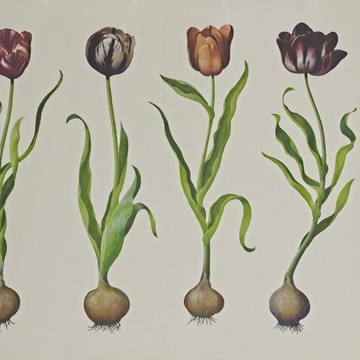 Tulips SCHTU (paneeli)