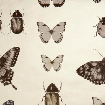 Papilio W0094-01