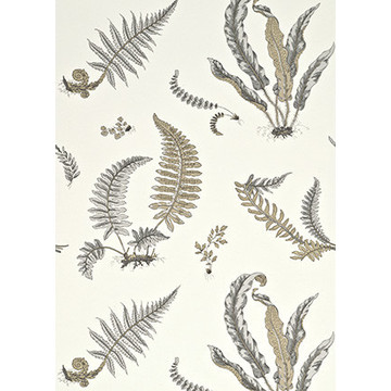 Ferns Dove Grey/Silver BW45044/4