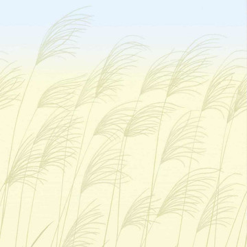 Miscanthus Buttermilk/Sky 113230 (paneeli)