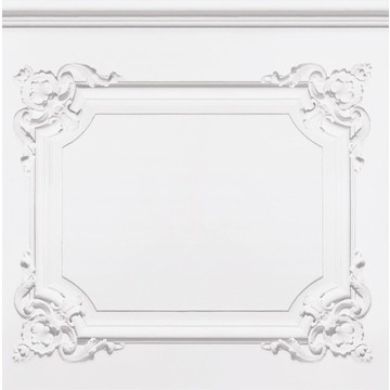 Greyish-white Louis XV panelling 8888-301
