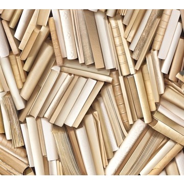 Chaotic ivory bookshelves 8888-19