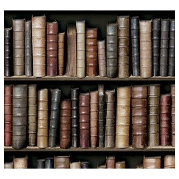 Old coloured bookshelves 8888-13