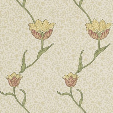 Garden Tulip Russet/Lichen 210392