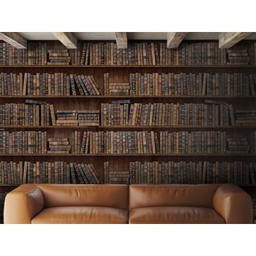 WP20112 - Book Shelves - INT