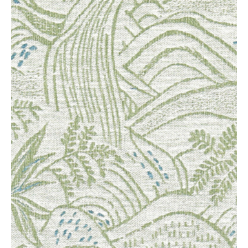 falling foss salvia close