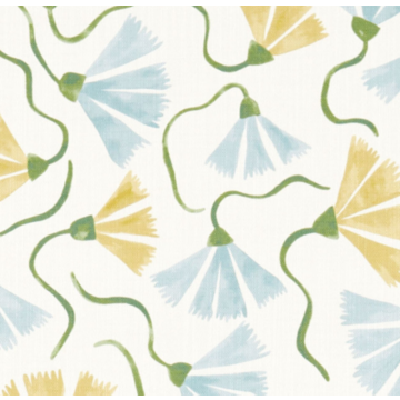 fringed poppy hunaja close